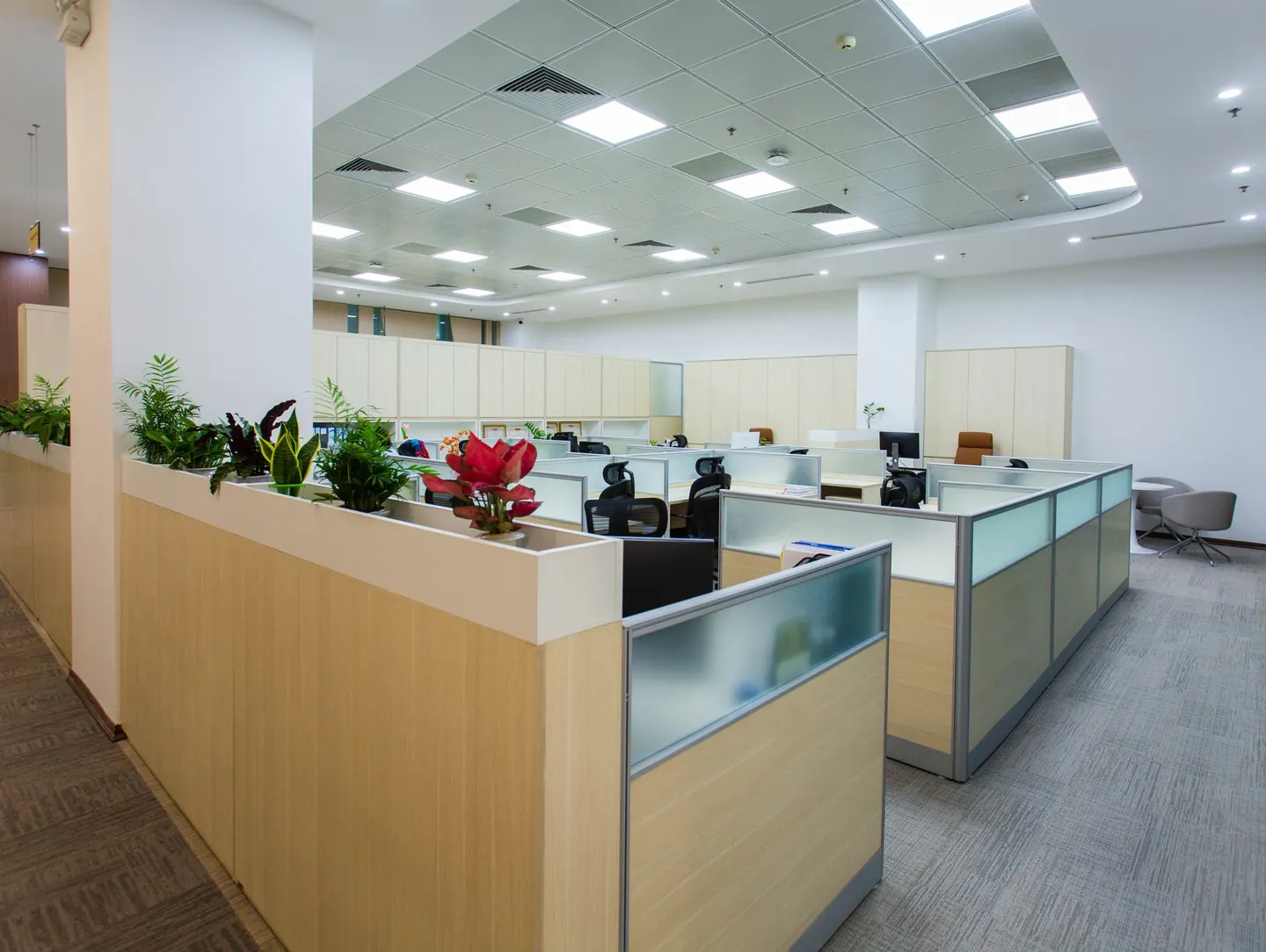 An empty open-plan office with rows of workstations, grey carpet tiles and a planter along a wooden divider